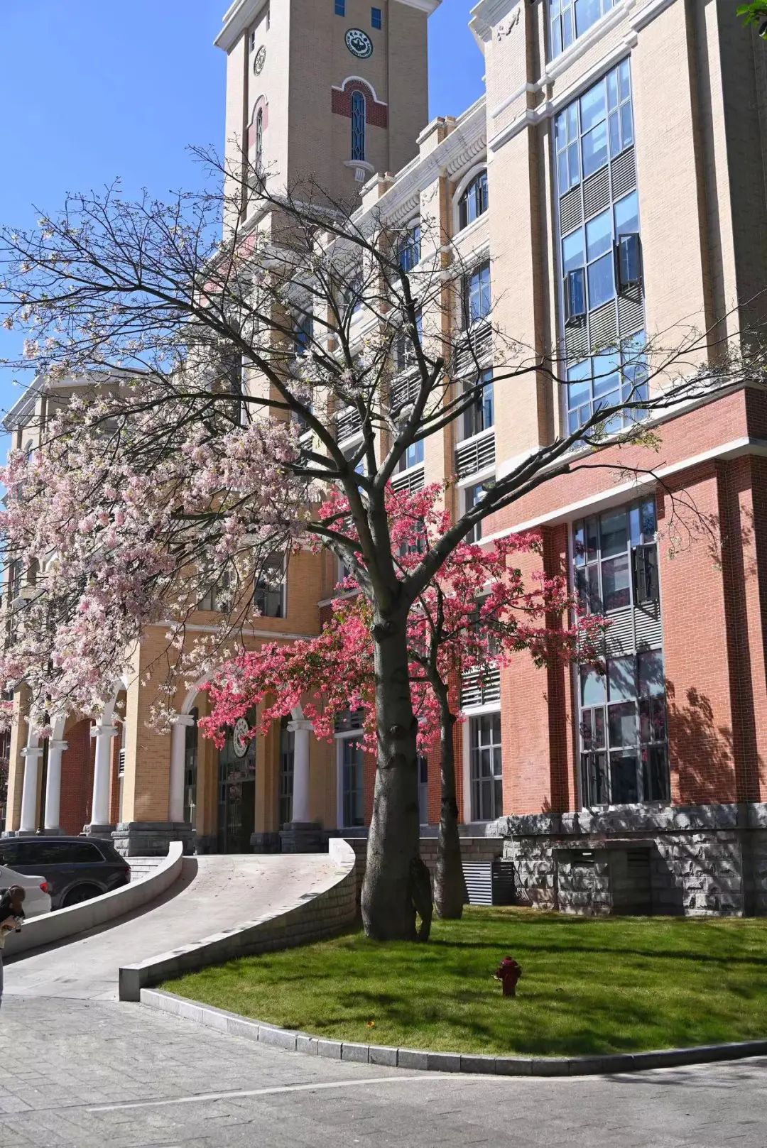 image-20240515150858-28